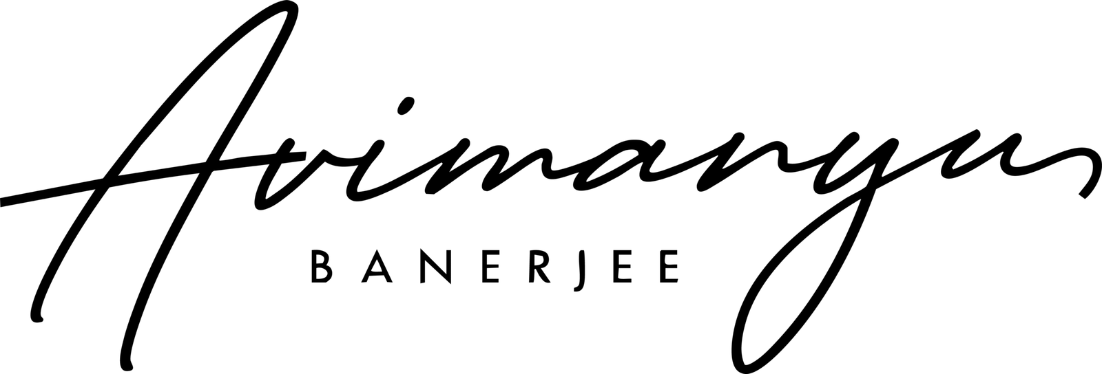 avimanyubanerjee.com